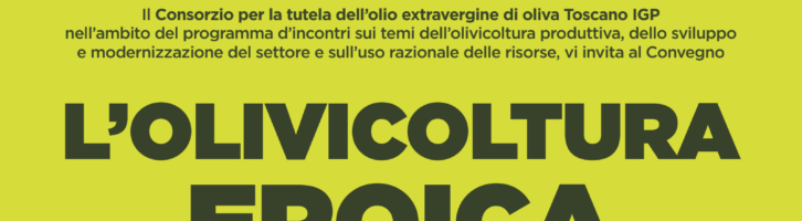 Convegno a Calci il 21 aprile: L'olivicoltura eroica