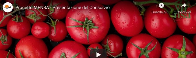 Quattro videoclip del Consorzio MENSA