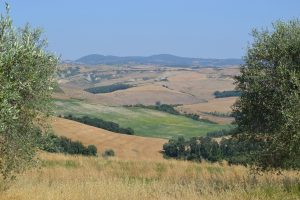 La storia della cooperativa Terre dell’Etruria