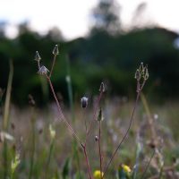 EMBRACE alla Bright Night di UniPi, 26 settembre dalle ore 16